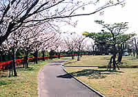 瀬戸公園写真