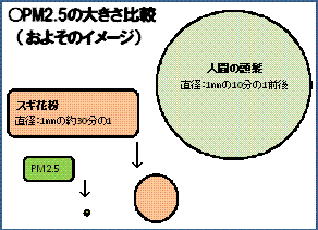 PM2.5の大きさ比較の図