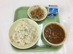 給食写真（11月19日）