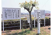 松之尾遺跡写真