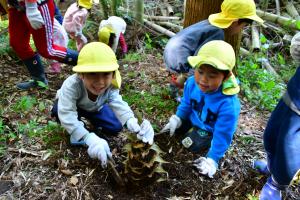 べっぷ里山こども園でタケノコ堀