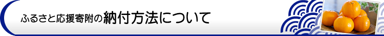 ふるさと応援寄付金の納付方法について