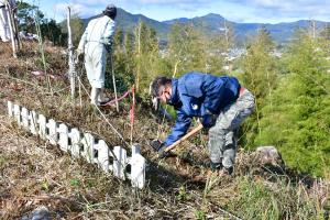 妙見の森の植樹作業の様子