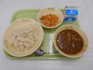 給食写真（11月15日）