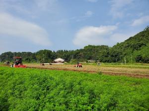 遊休農地を耕耘する様子