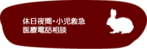 休日夜間・小児救急 医療電話相談